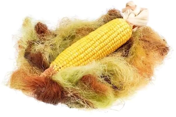 Benefits of Corn Silk Tea - भुट्टे के बाल की चाय - Corn Silk Tea - भुट्टे के बाल की चाय करती है किडनी की हर बीमारी को ठीक