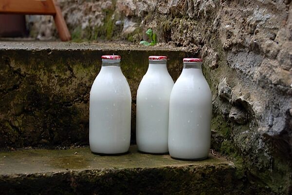गधी का दूध | gadhi ka doodh